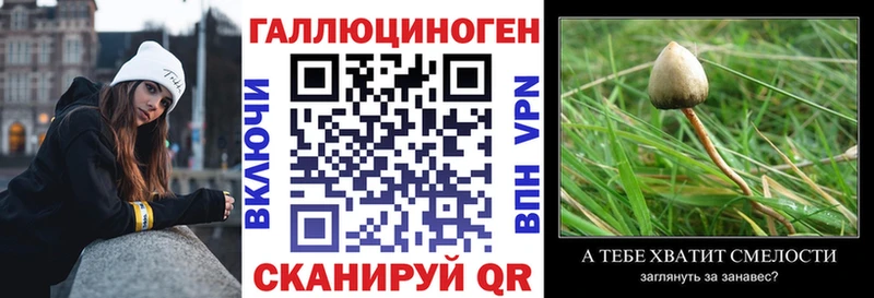 Псилоцибиновые грибы мицелий  как найти   Пласт 